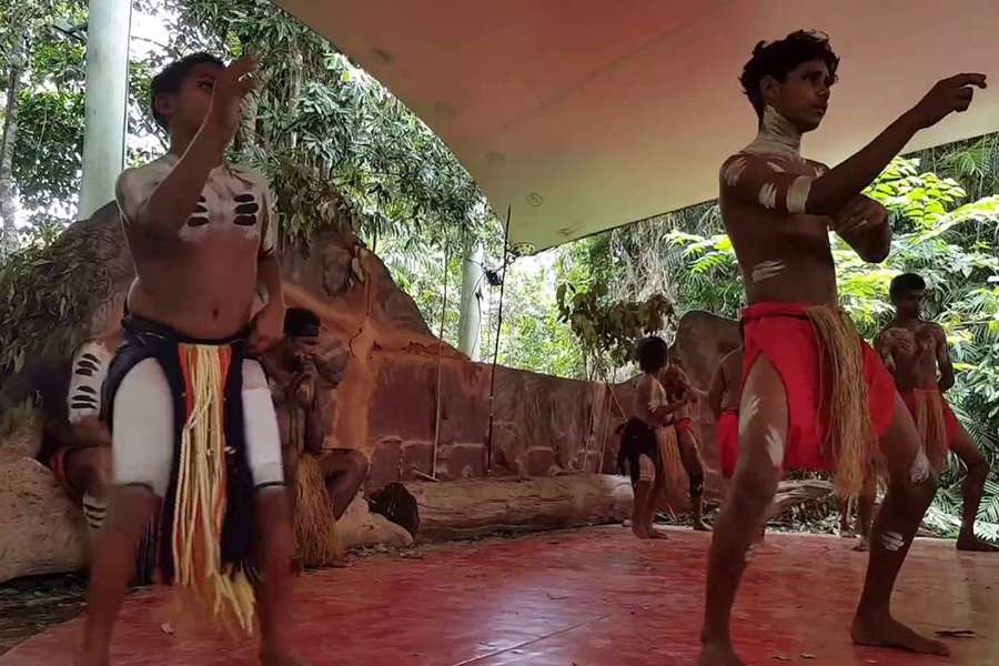 The Cassowary Dance in Aboriginal culture