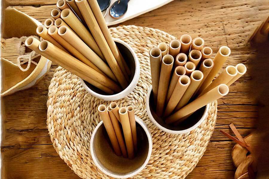 Bamboo Straws - Laos Souvenirs