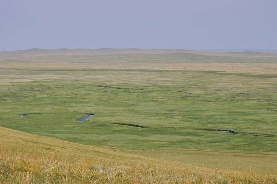 Landscapes of Dauria in Mongolia