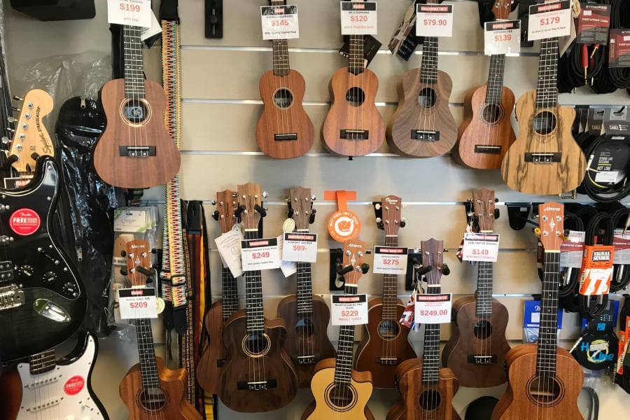 Local Music Stores and Specialty Shops