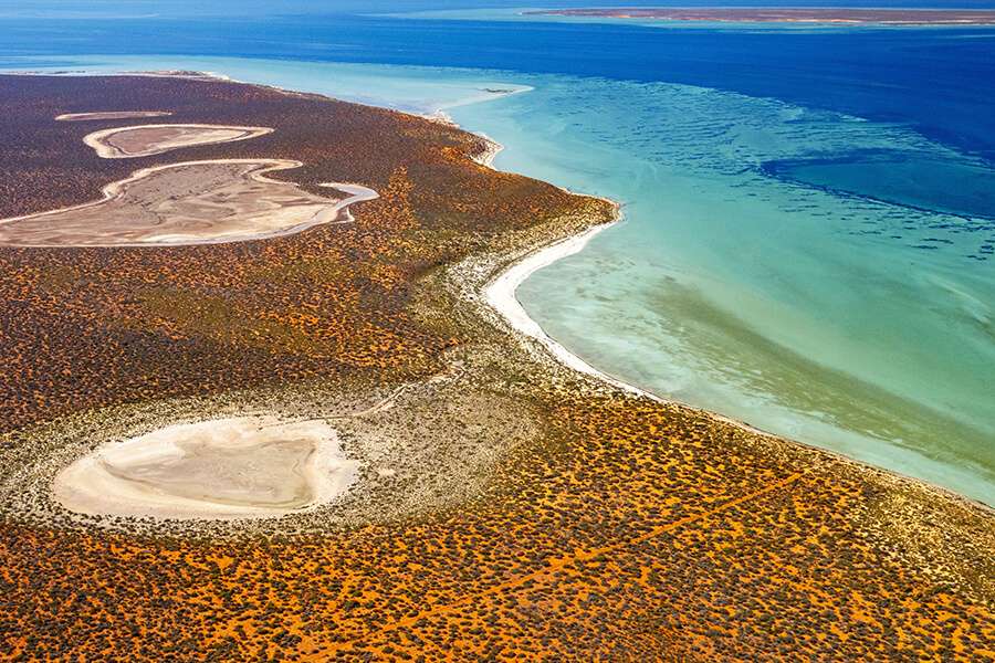 Shark Bay Australia UNESCO World Heritage Sites