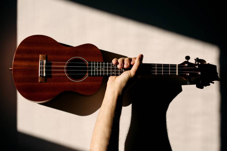 Ukulele - New Zealand musicial instruments