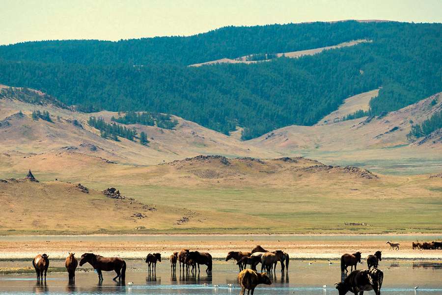 Uvs Nuur Basin Mongolia Natural World Heritage Site